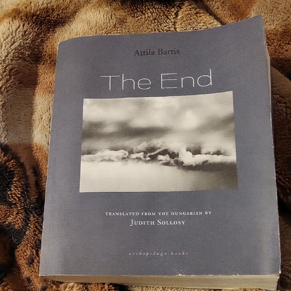 The End by Attila Bartis - Gray Cover - Picture 1 of 7